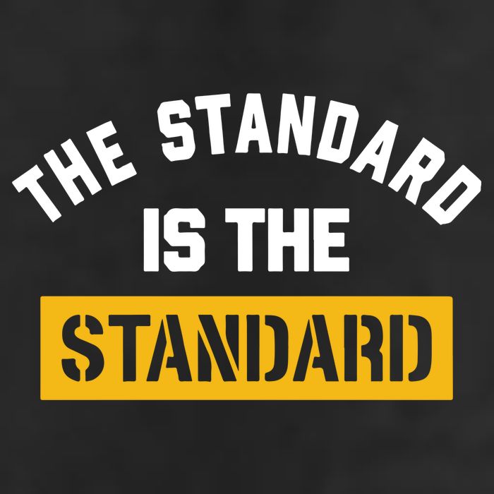 The Standard Is The Standard 7 Panel Mesh Trucker Snapback Hat