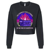 The Summer I Turned Pretty Surfer Sun Cropped Pullover Crew