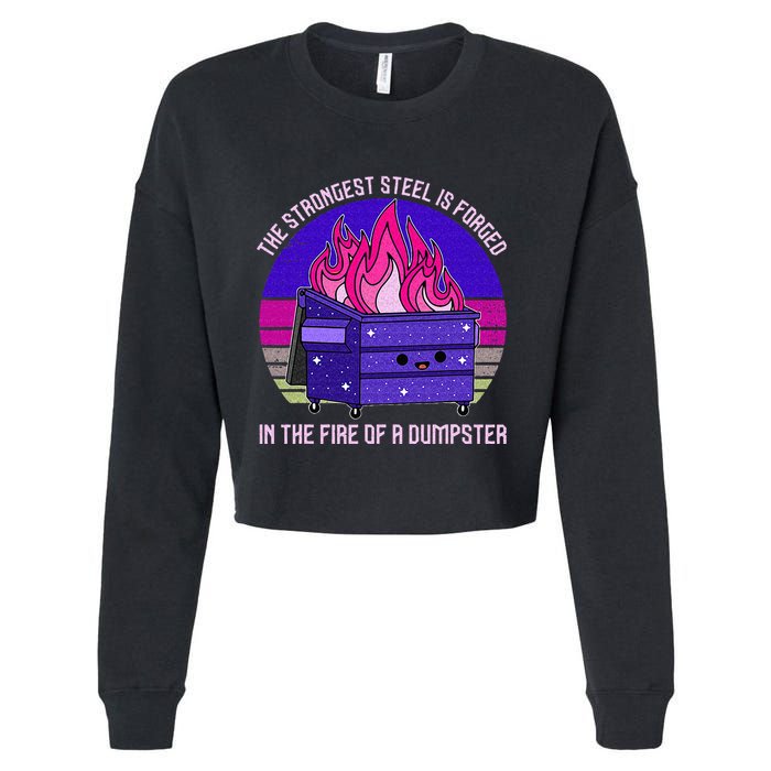 The Summer I Turned Pretty Surfer Sun Cropped Pullover Crew