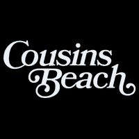 The Summer I Turned Pretty Cousins Beach Cropped Pullover Crew
