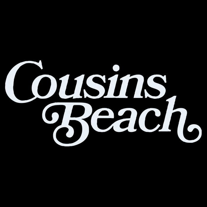The Summer I Turned Pretty Cousins Beach Cropped Pullover Crew
