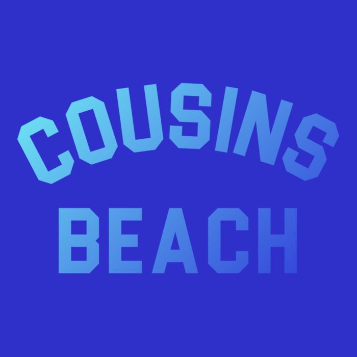 The Summer I Turned Pretty Cousins Beach Gift Women's V-Neck T-Shirt