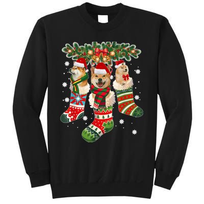 Three Shiba Inu In Sock Christmas Santa X Mas Dog Sweatshirt