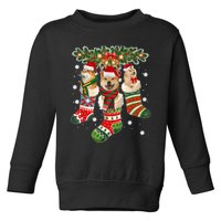 Three Shiba Inu In Sock Christmas Santa X Mas Dog Toddler Sweatshirt