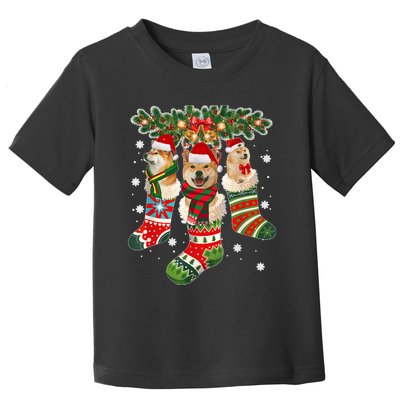 Three Shiba Inu In Sock Christmas Santa X Mas Dog Toddler T-Shirt