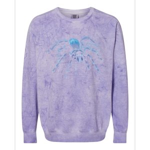 Tarantula Spider Illustration Gift Wild Animal Nature Fan Gift Colorblast Crewneck Sweatshirt