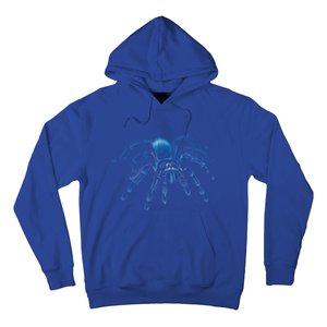 Tarantula Spider Illustration Gift Wild Animal Nature Fan Gift Hoodie