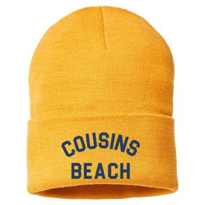 The Summer I Turned Pretty Cousins Beach Heather Gray Sustainable Knit Beanie