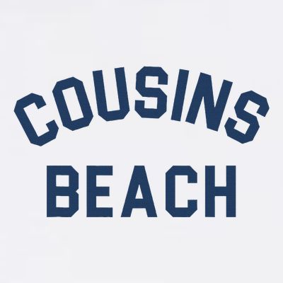 The Summer I Turned Pretty Cousins Beach Heather Gray T-Shirt