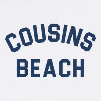 The Summer I Turned Pretty Cousins Beach Heather Gray T-Shirt