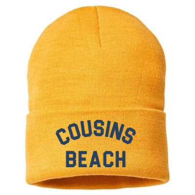 The Summer I Turned Pretty Cousins Beach Heather Gray Sustainable Knit Beanie