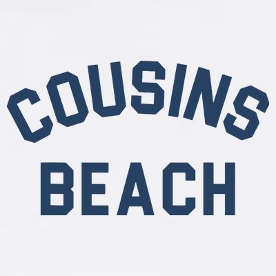The Summer I Turned Pretty Cousins Beach Heather Gray T-Shirt