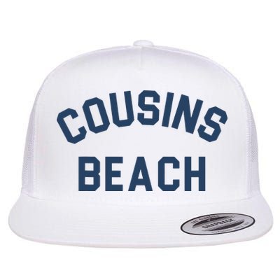 The Summer I Turned Pretty Cousins Beach Heather Gray Flatbill Hat