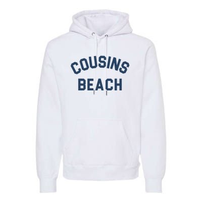 The Summer I Turned Pretty Cousins Beach Heather Gray Premium Hoodie