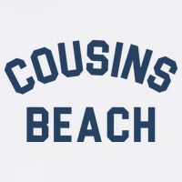 The Summer I Turned Pretty Cousins Beach Heather Gray Short Acrylic Beanie