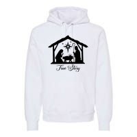 True Story Jesus Christmas Premium Hoodie