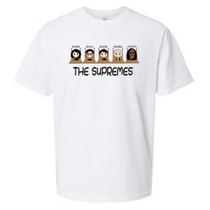 THE SUPREMES Ketanji Brown Jackson RBG Sotomayor cute Sueded Cloud Jersey T-Shirt