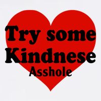 Try Some Kindness Asshole Heart Button