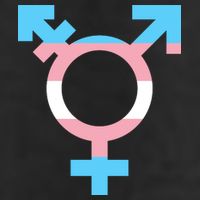 Transgender Sign Logo Flag Pride Month Adult Drive Performance Visor
