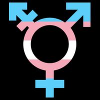 Transgender Sign Logo Flag Pride Month Wool Snapback Cap