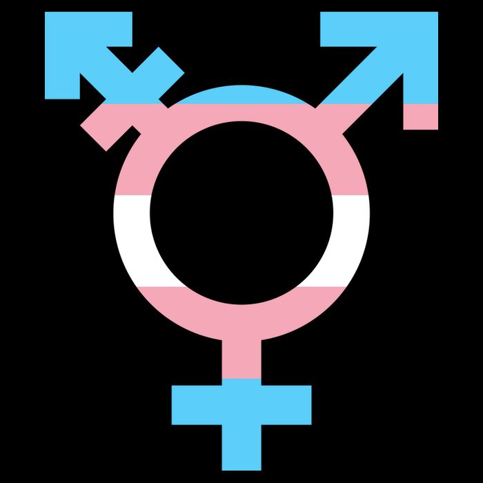Transgender Sign Logo Flag Pride Month Wool Snapback Cap