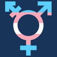 Transgender Sign Logo Flag Pride Month 7 Panel Mesh Trucker Snapback Hat