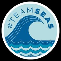 Team Seas Logo Drawstring Bag