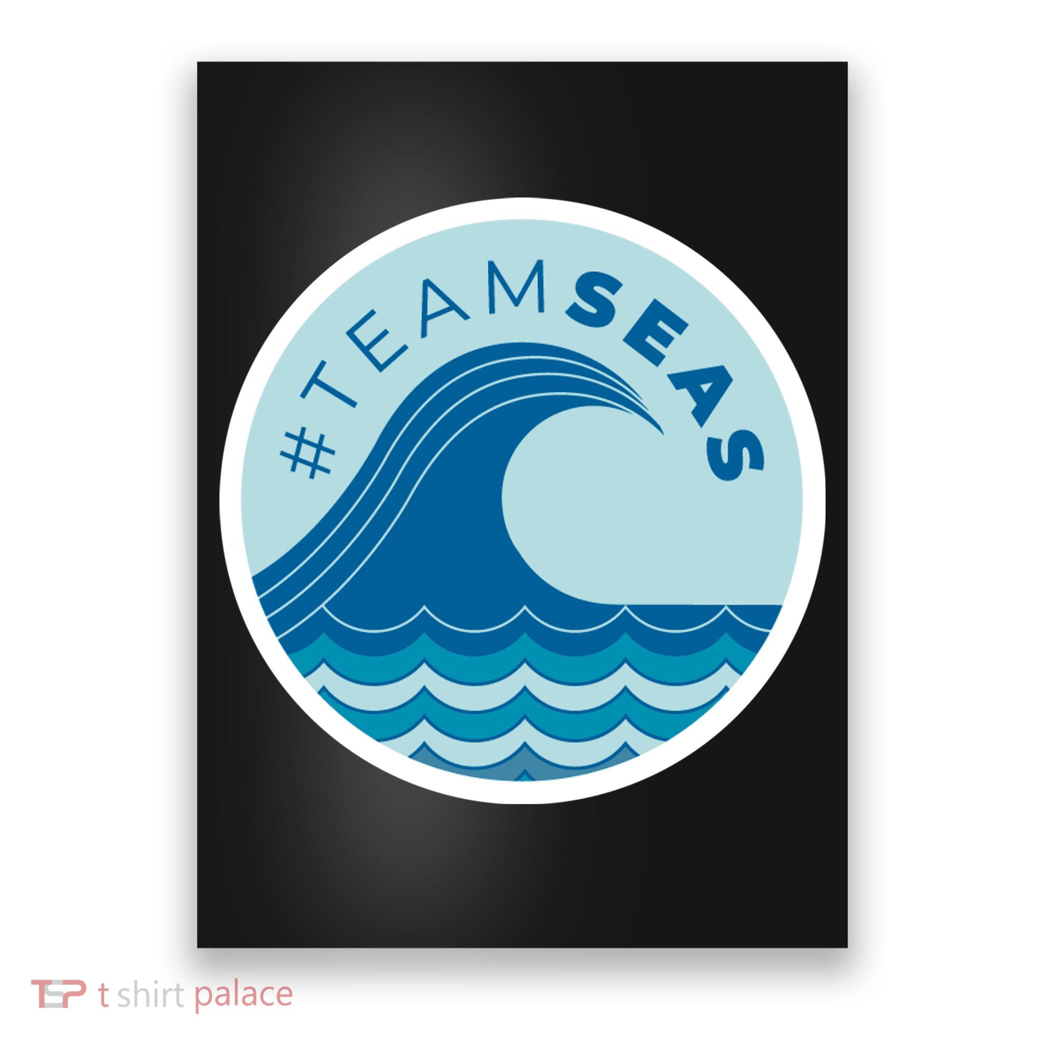 Team Seas Logo Poster