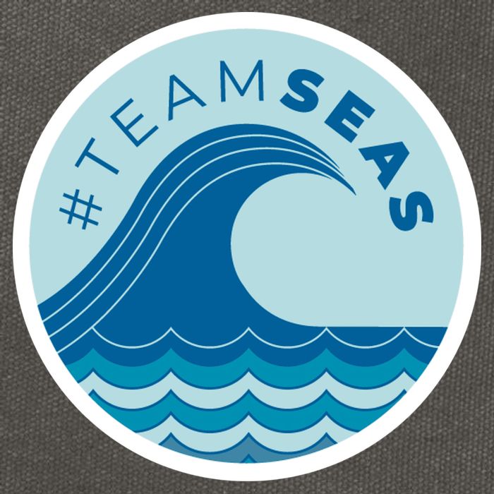 Team Seas Logo Cotton Canvas Backpack
