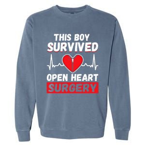 This Survived Meaningful Gift Survivor Open Heart Surgery Gift Garment-Dyed Sweatshirt