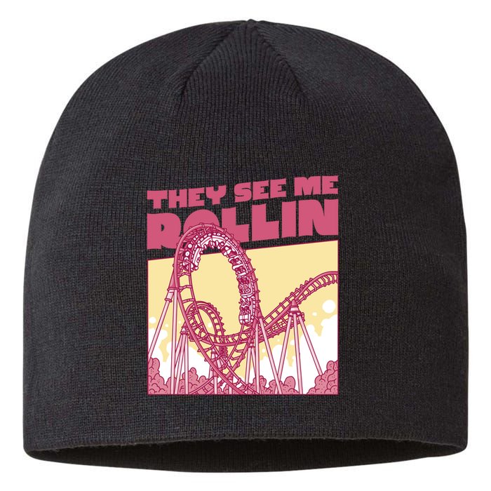 They See Me Rollin Funny Roller Coaster Sustainable Beanie