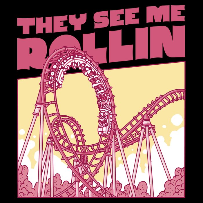 They See Me Rollin Funny Roller Coaster Wool Snapback Cap