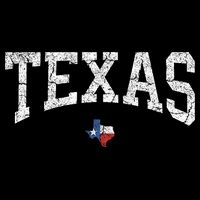 Texas State Map Flag Distressed 16 in Basic Backpack