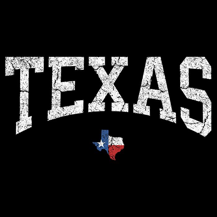 Texas State Map Flag Distressed 16 in Basic Backpack