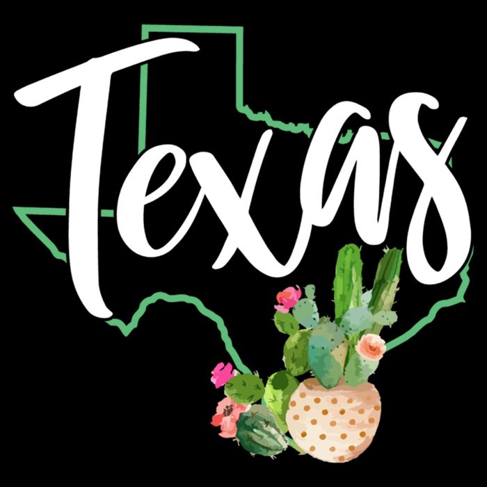 Texas State Map Pride Cactus Vintage Texas Gift Backpack