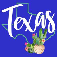 Texas State Map Pride Cactus Vintage Texas Gift Womens T-Shirt