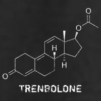 Trenbolone Steroid Molecule Hardcore Bodybuilding 25L Jumbo Tote