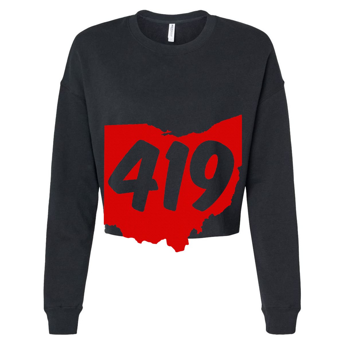 Toledo Sandusky Mansfield 419 Area Code Ohio Women's Crop Top Tee