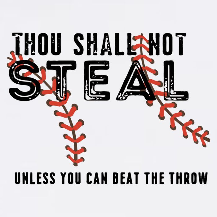 Thou Shall Not Steal Unless You Beat Throw Baseball Lover Gift Toddler T-Shirt
