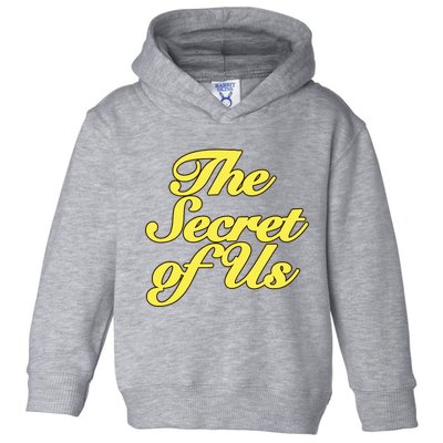 The Secret Of Us Toddler Hoodie
