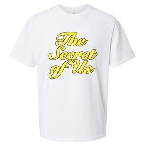 The Secret Of Us Sueded Cloud Jersey T-Shirt