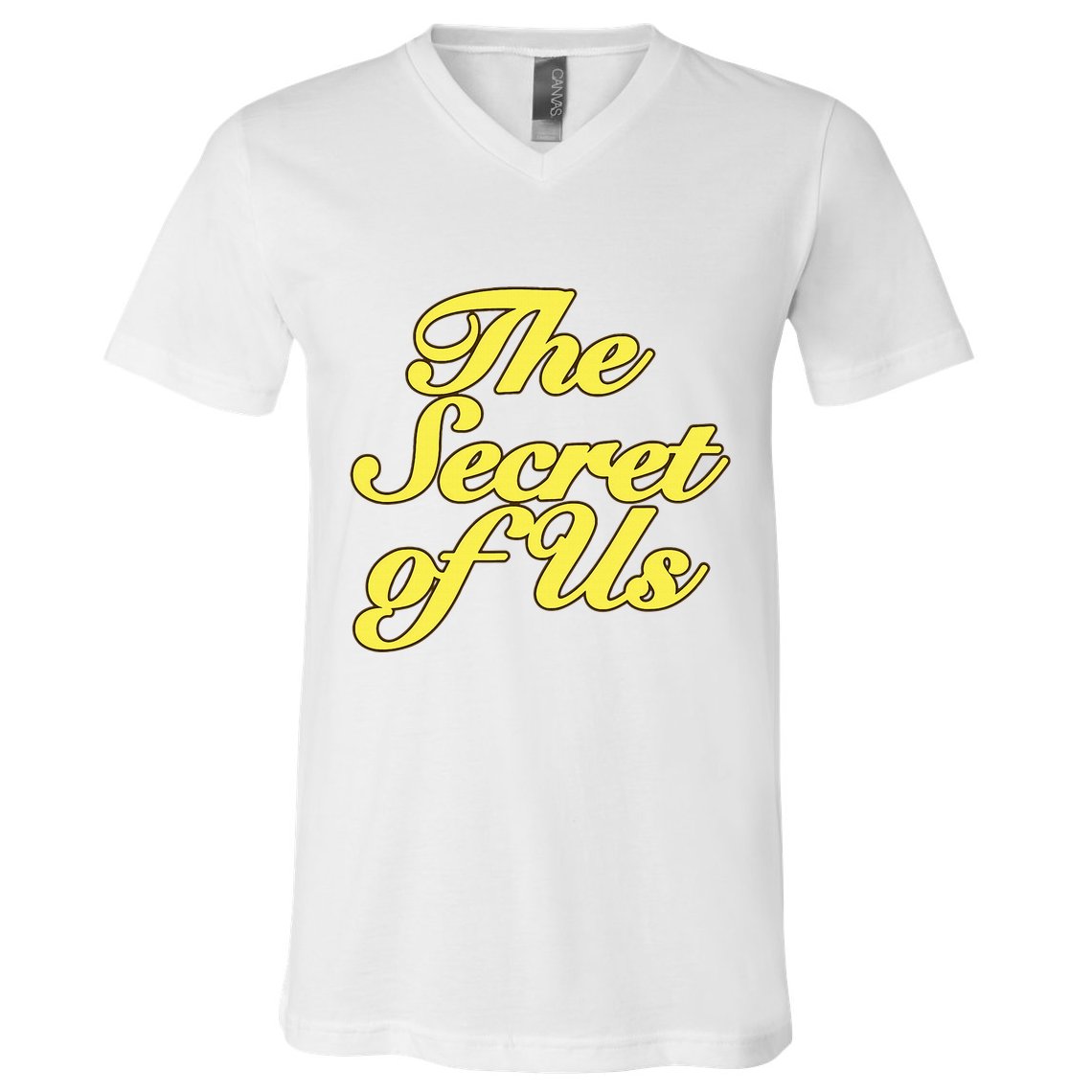 The Secret Of Us V-Neck T-Shirt