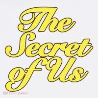 The Secret Of Us Poster