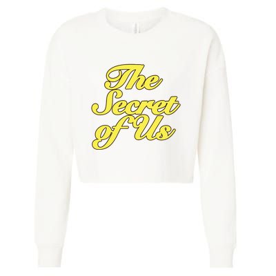 The Secret Of Us Cropped Pullover Crew