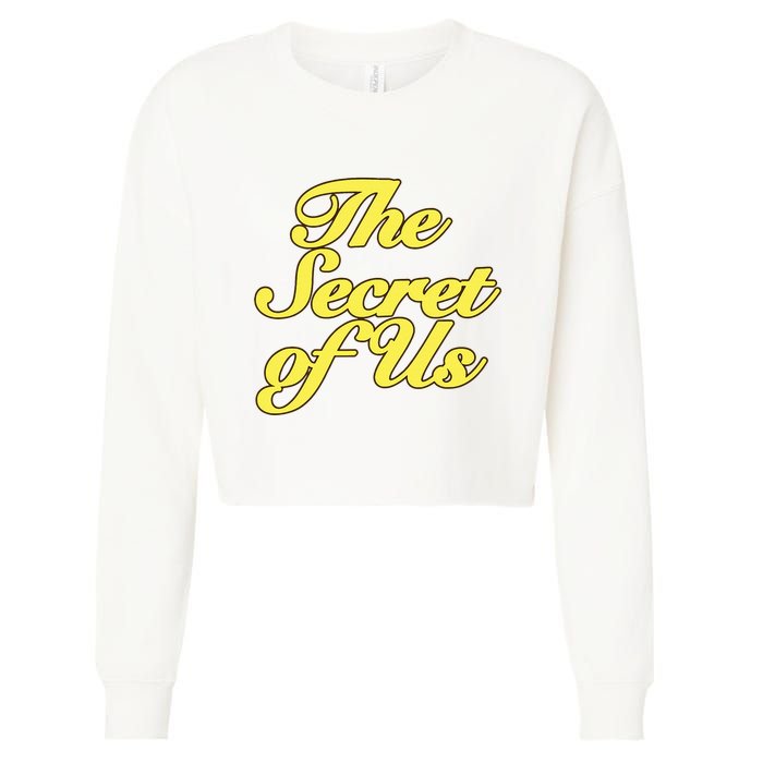 The Secret Of Us Cropped Pullover Crew