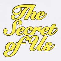 The Secret Of Us Cropped Pullover Crew