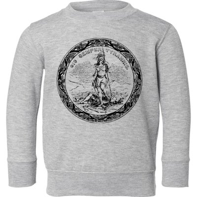 Trendy Seal Of Virginia Toddler Sweatshirt