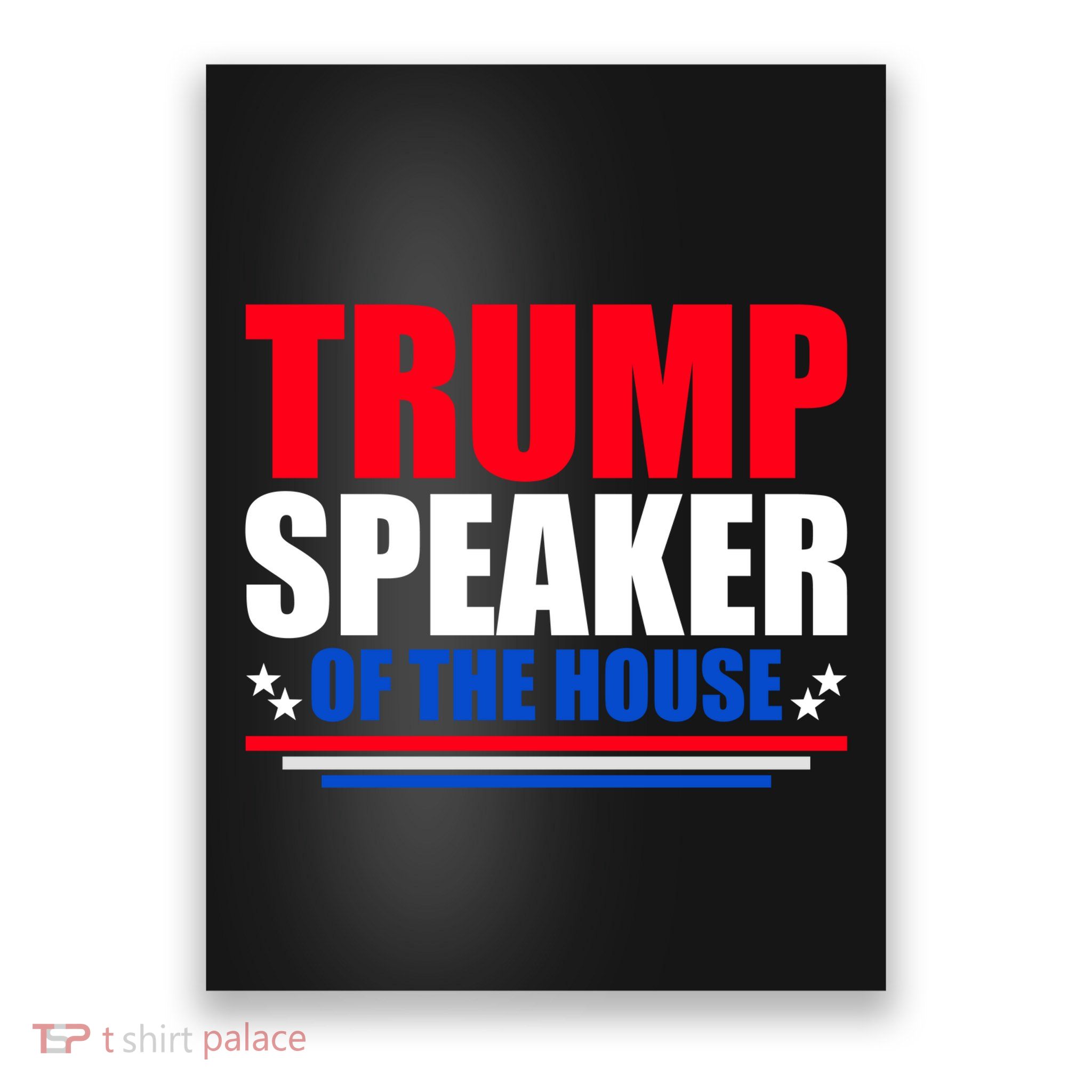 Trump Speaker Of The House Poster