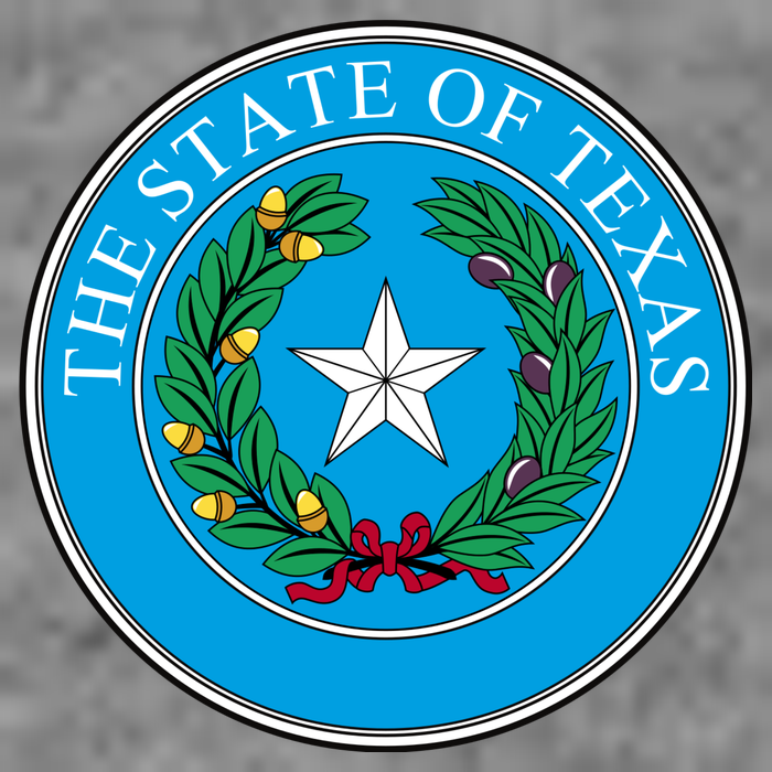 The State Of Texas Seal Kids T-Shirt