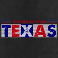 The State Of Texas Logo 7 Panel Mesh Trucker Snapback Hat